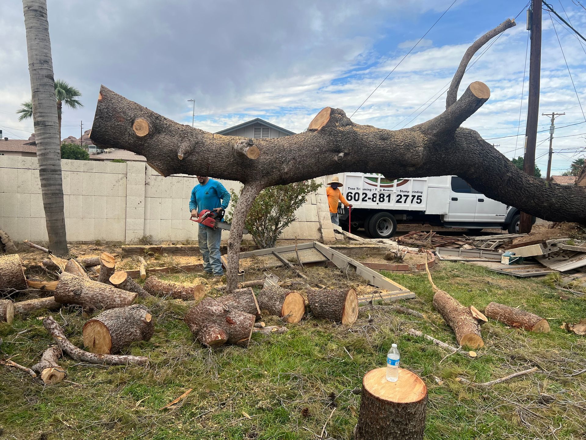 A man is using a chainsaw to cut a large tree branch