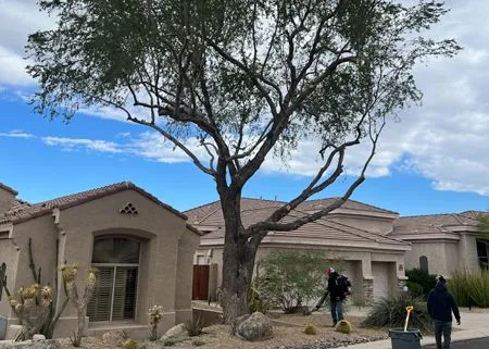 Desert-style house with a large tree in front; two people stand near the driveway.