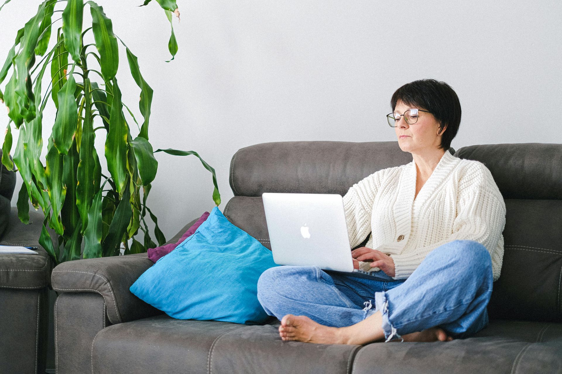 Person sitting on a gray couch using a laptop beside a large green plant