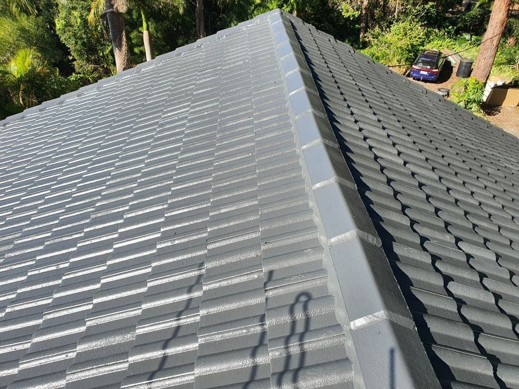 ColourMePainting_roof restoration