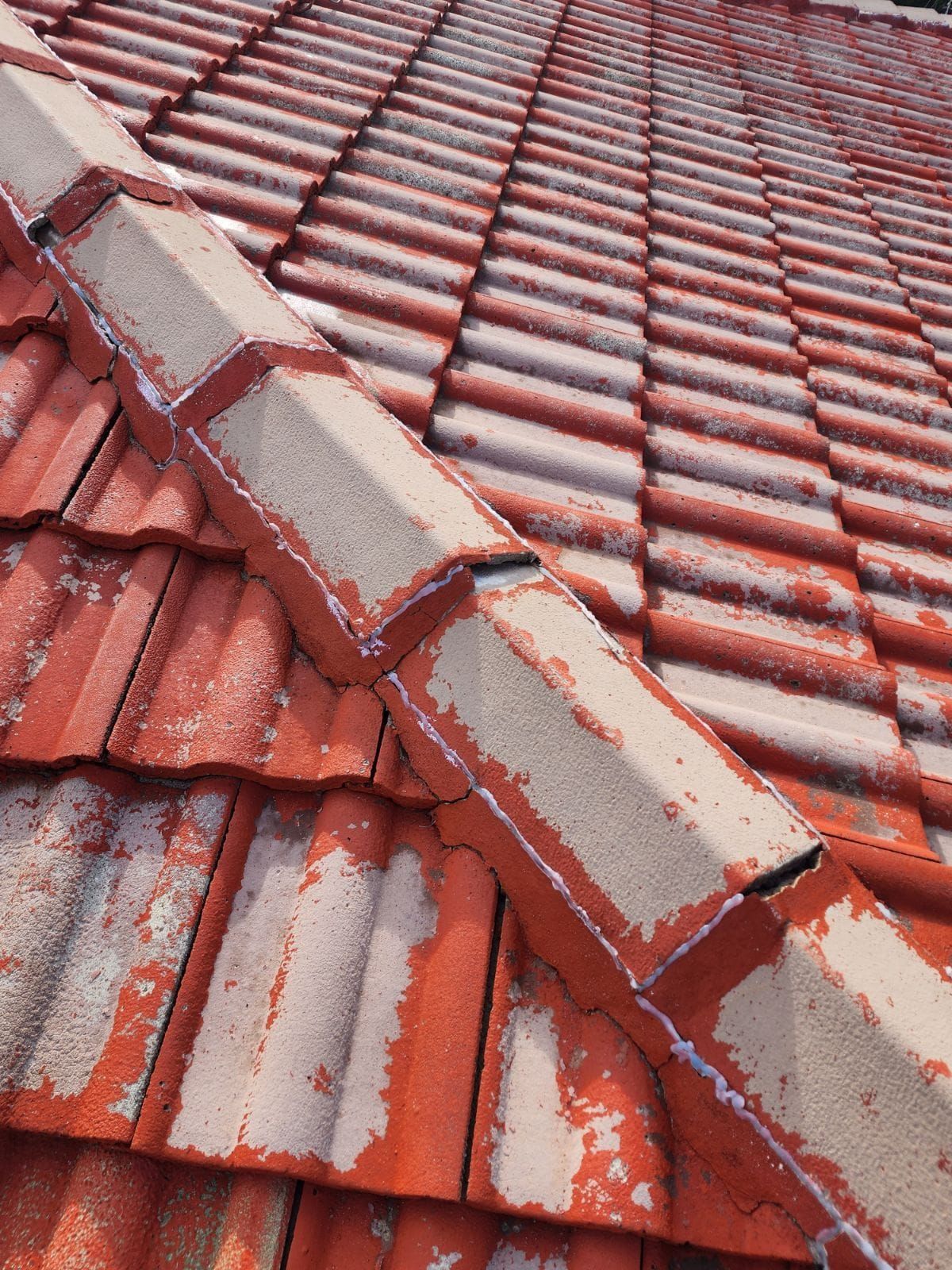 Roof Restoration Services by ColourMe Painting Roof Restoration