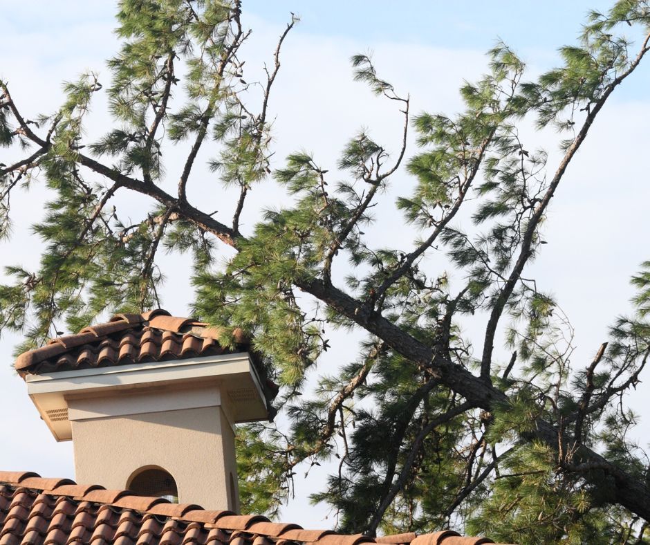 a tree fell on a roof