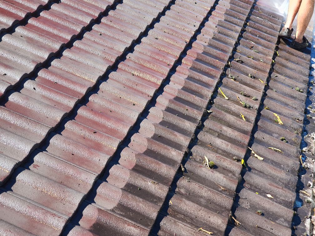 roof