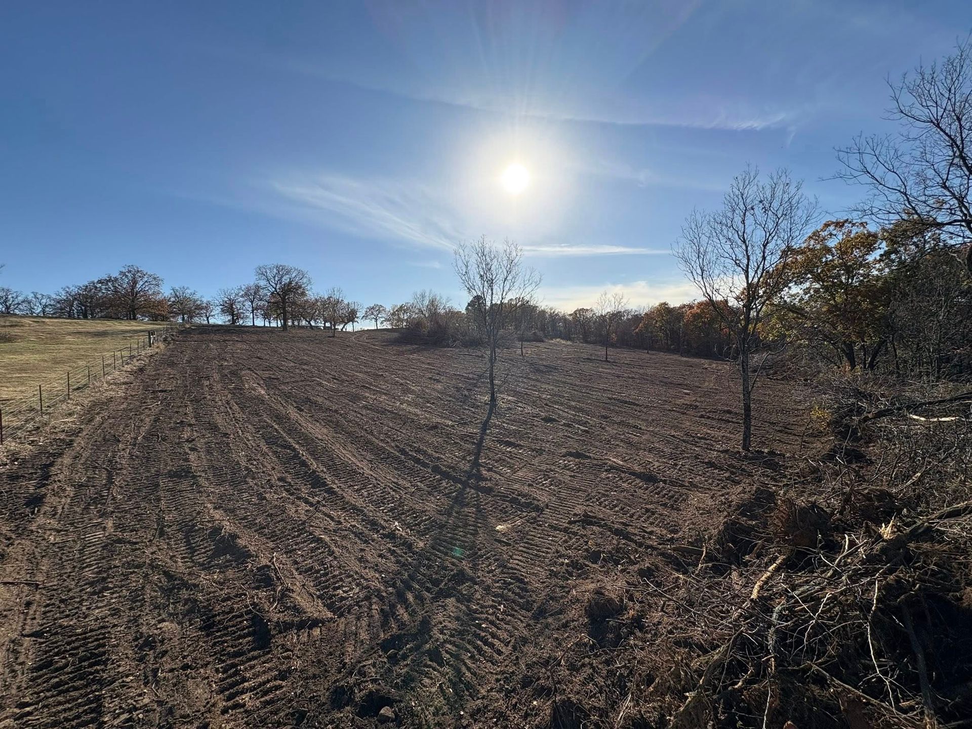 Sun shines over a freshly tilled field under a clear blue sky, trees in the distance.
