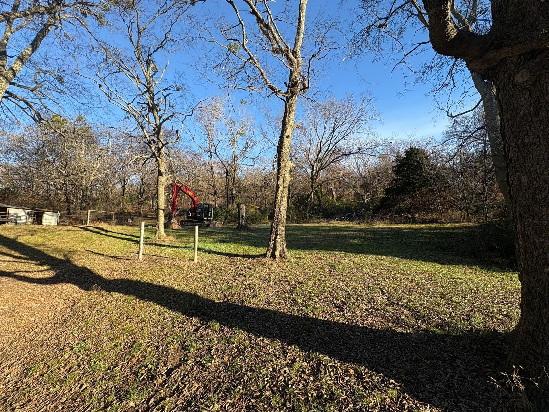 Grassy yard with bare trees, an excavator, and a clear blue sky.