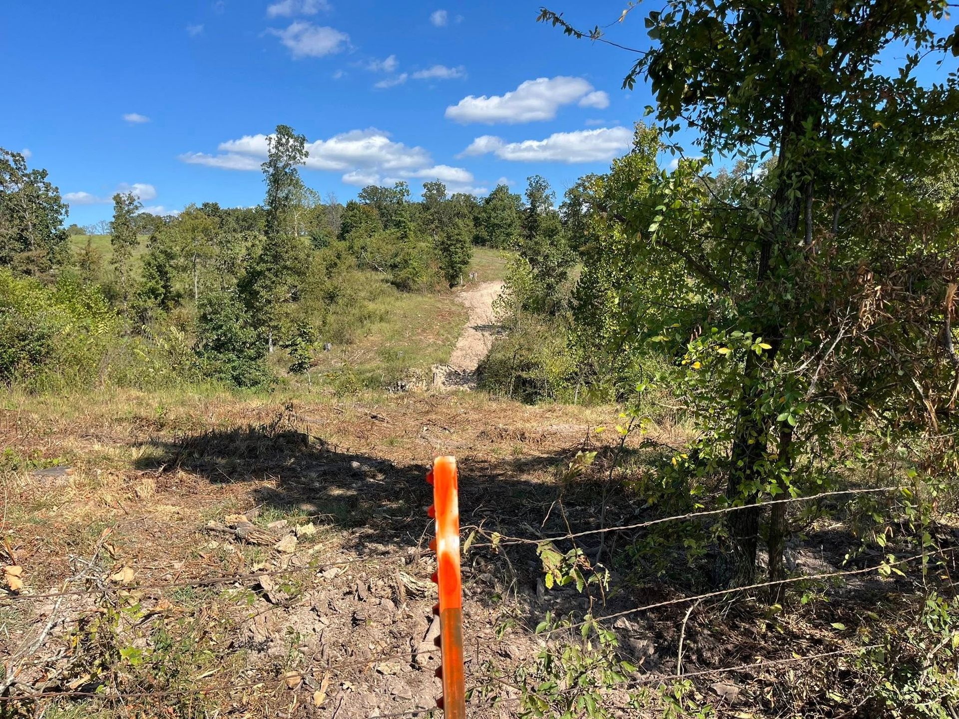 Dirt path through wooded area, orange stake, blue sky with clouds.