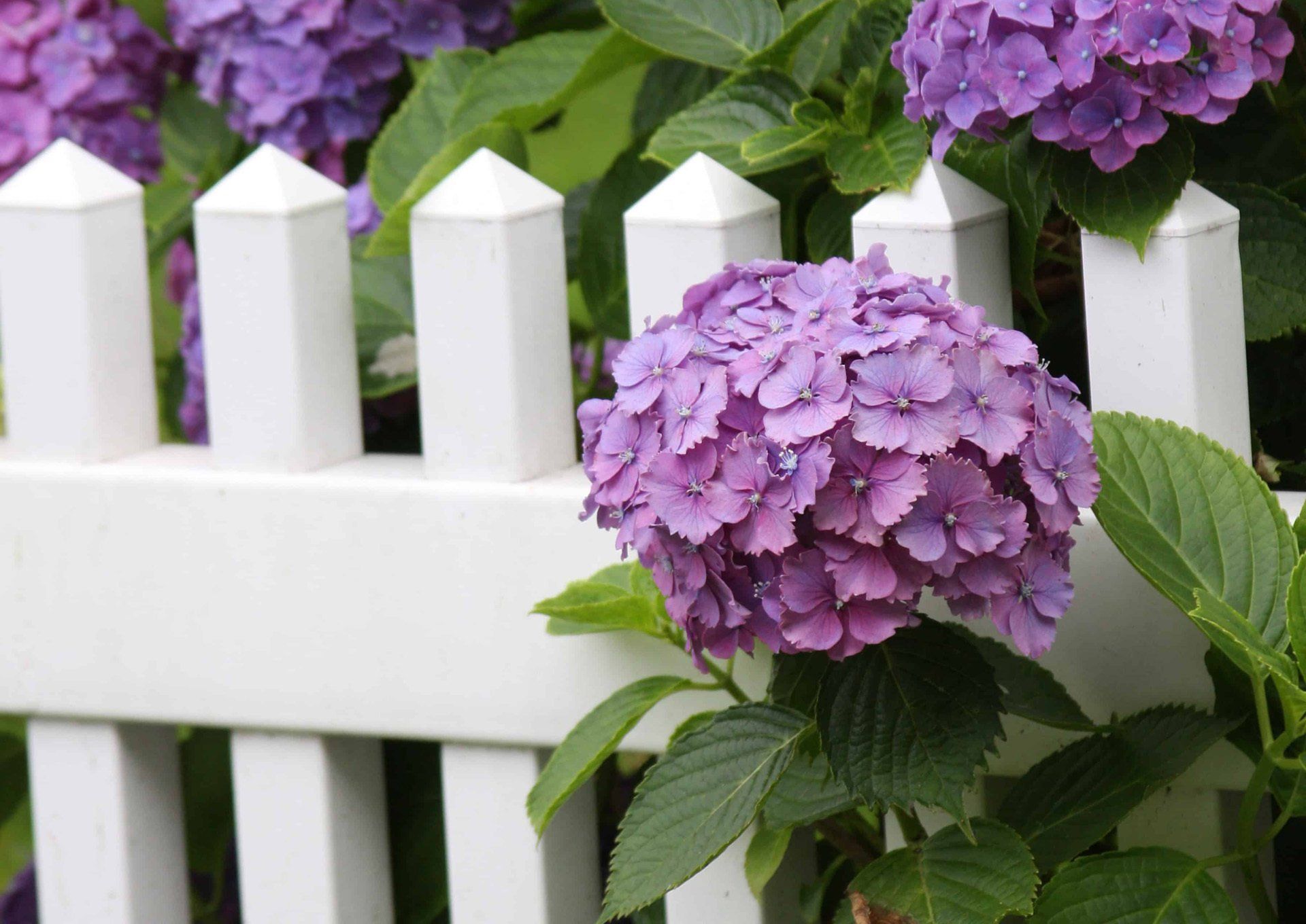 Vinyl fence installation