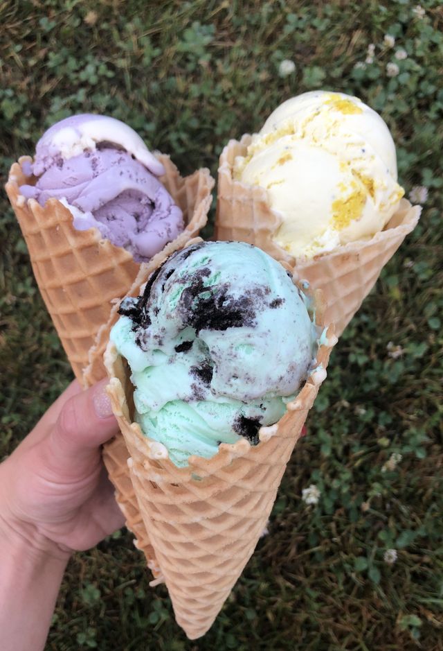 MOO-ville Creamery photo 12