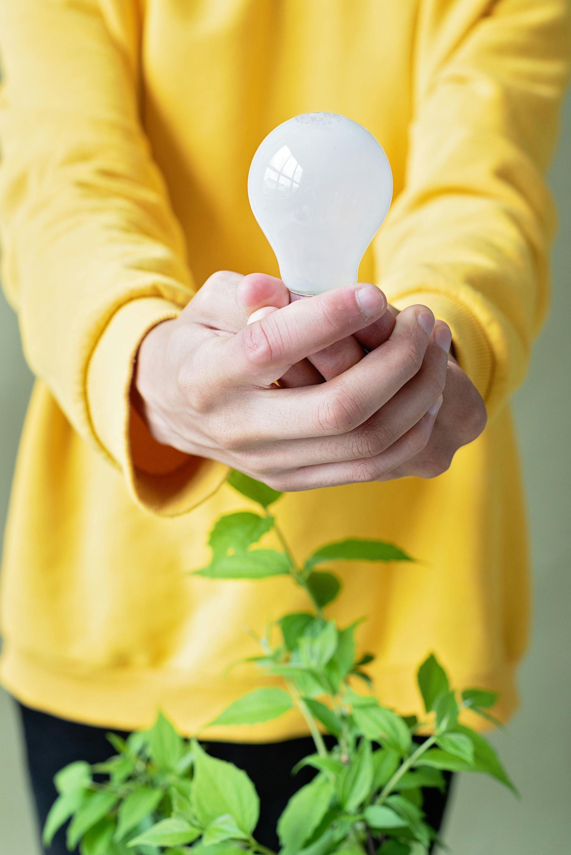 Person holding a lit lightbulb above a growing green plant, symbolizing ideas and growth.