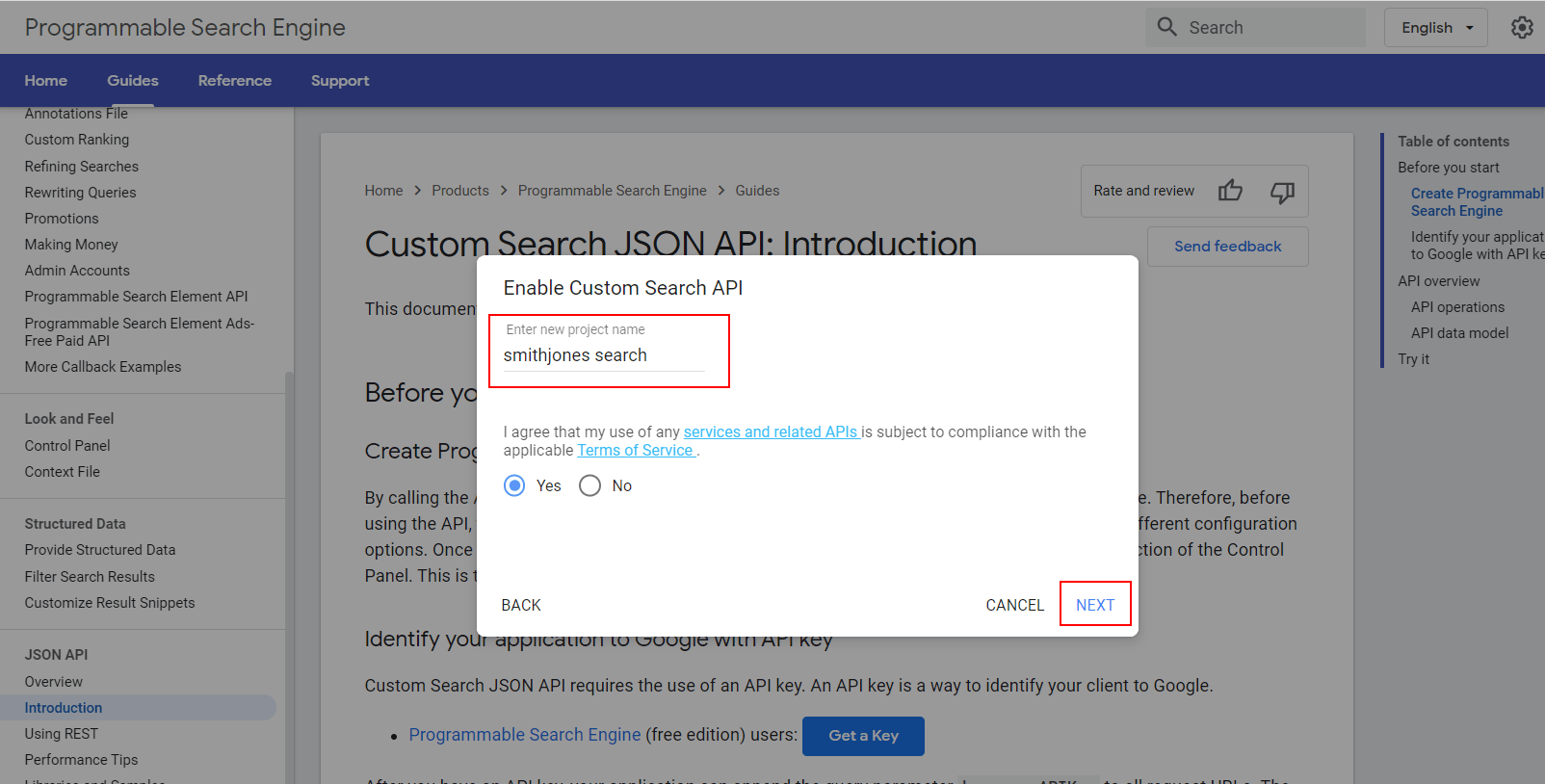 This image shows the Enable Custom Search API setting window in the JASON API set up of the Google Programmable Search Engine. It highlights the Enter new project name field and the NEXT button.