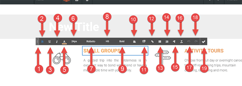 Image shows the number points from 1 to 19 pointing out the options of the Title widget editing bar.