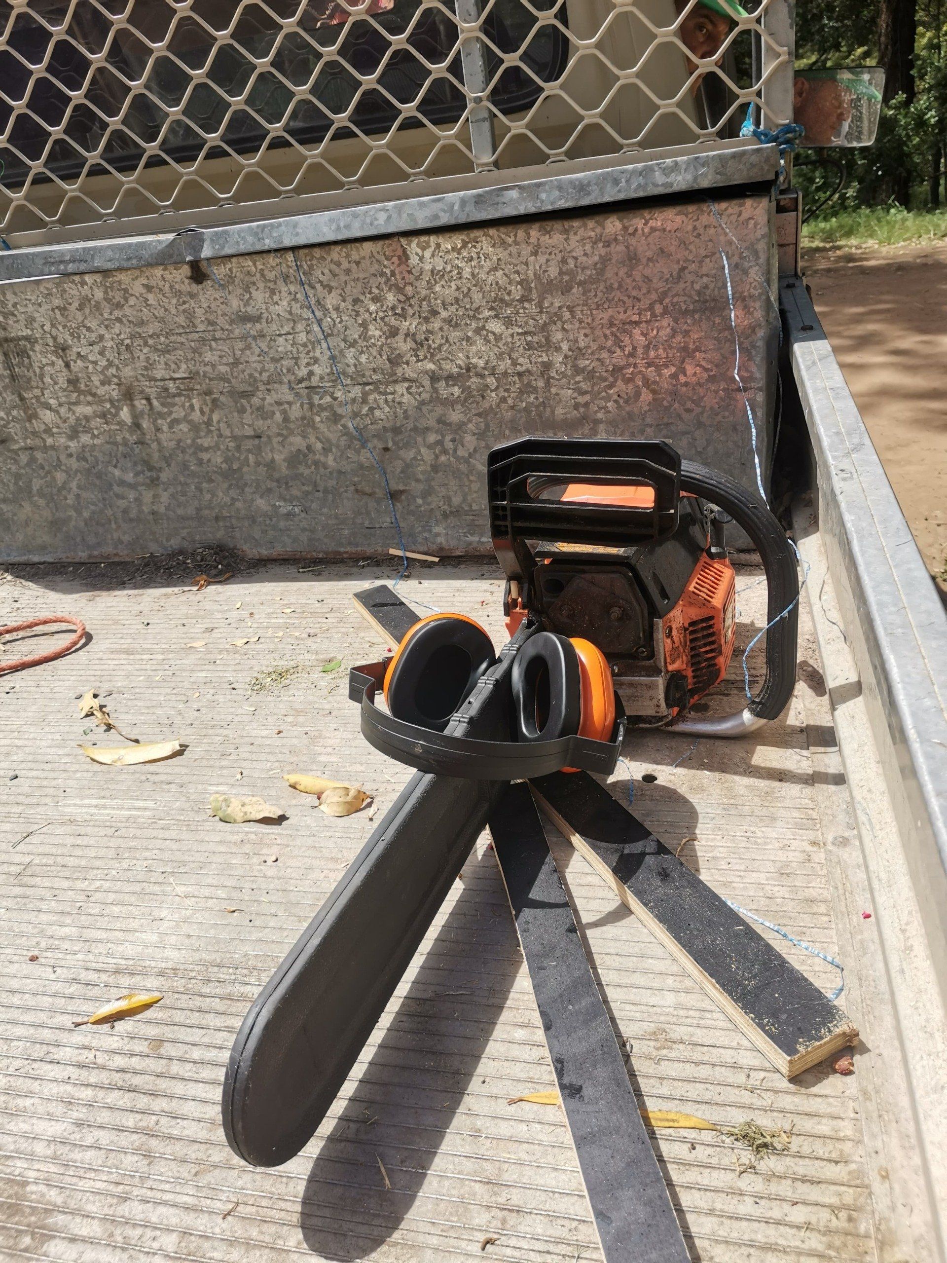 Tree Lopping Cairns Cairns Tree Loppers Servicing Far North QLD