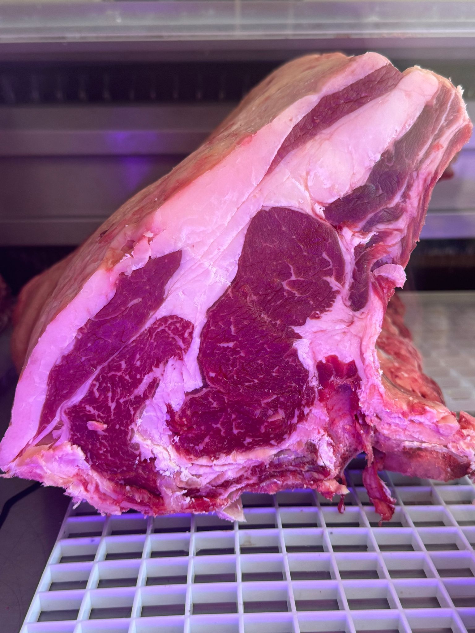 Grande bistecca di ribeye cruda, tagliata spessa, esposta in una vetrina refrigerata con osso e marezzatura visibili.