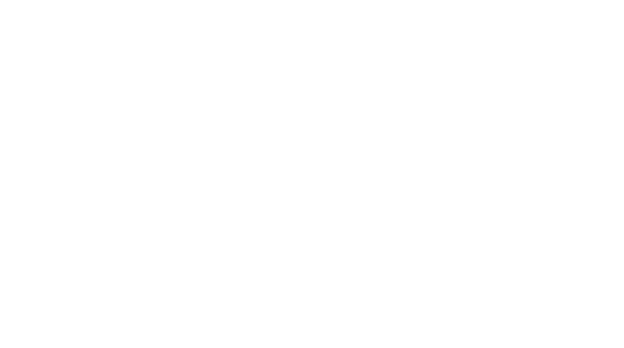The Lulu official logo in white