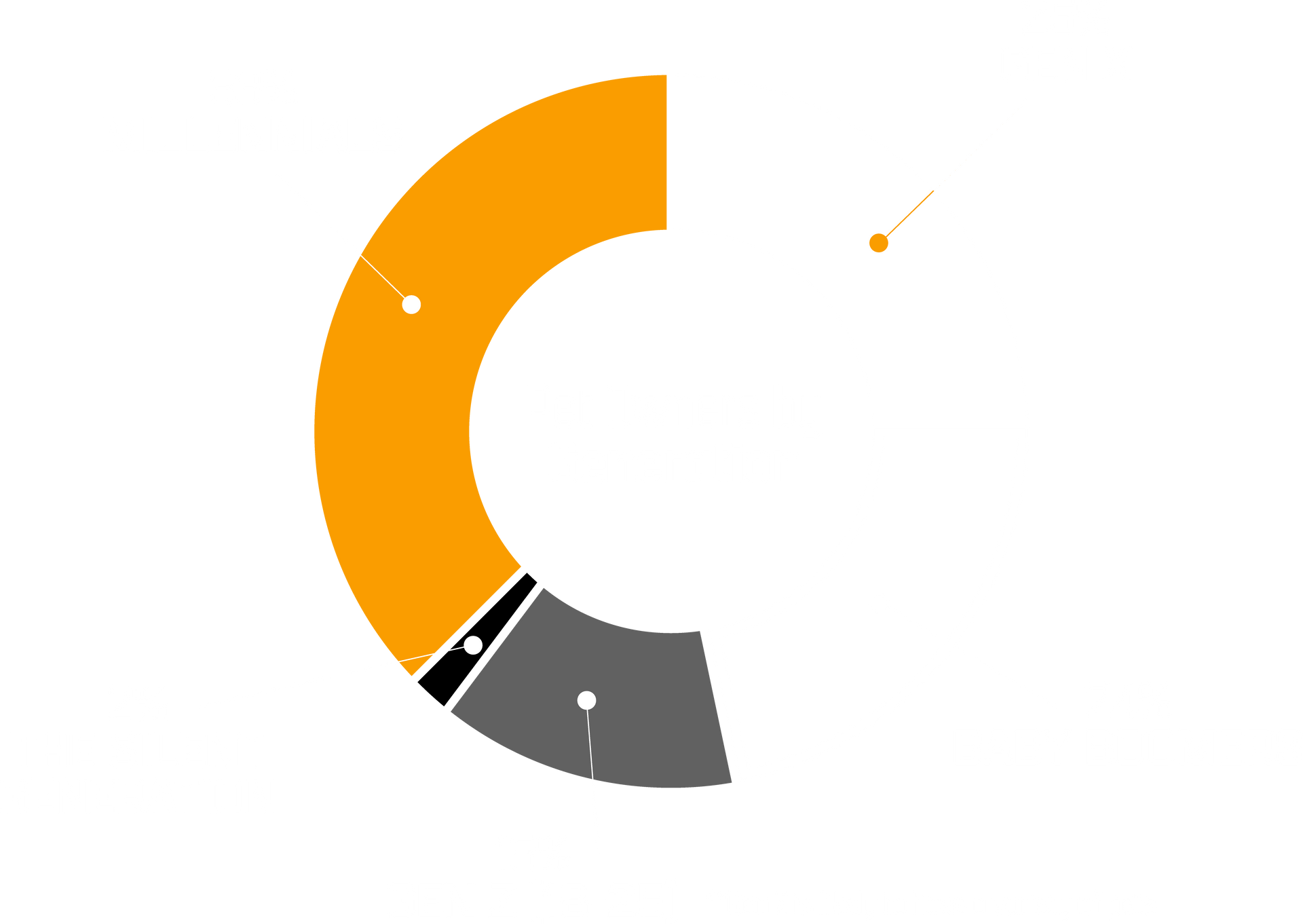 A pie chart showing 2024 Pet Owner trends by generation