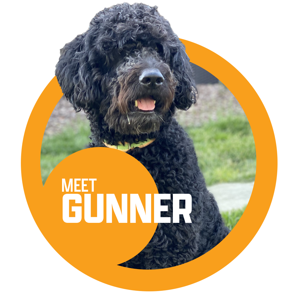 A picture of a dog with the name gunner on it