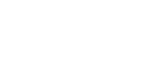 The Lulu Pet Mattress logo in white