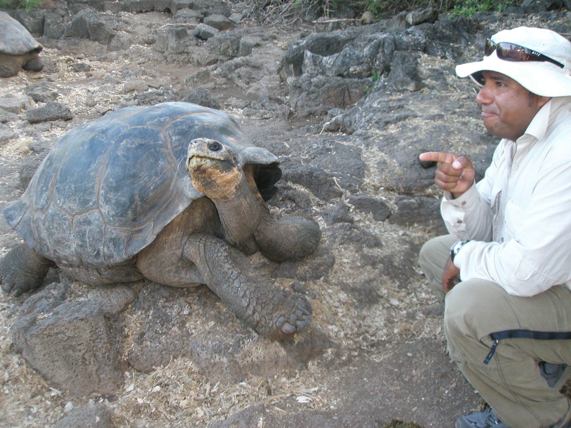 Galapagos by Horse, Bike, Kayak, and Foot