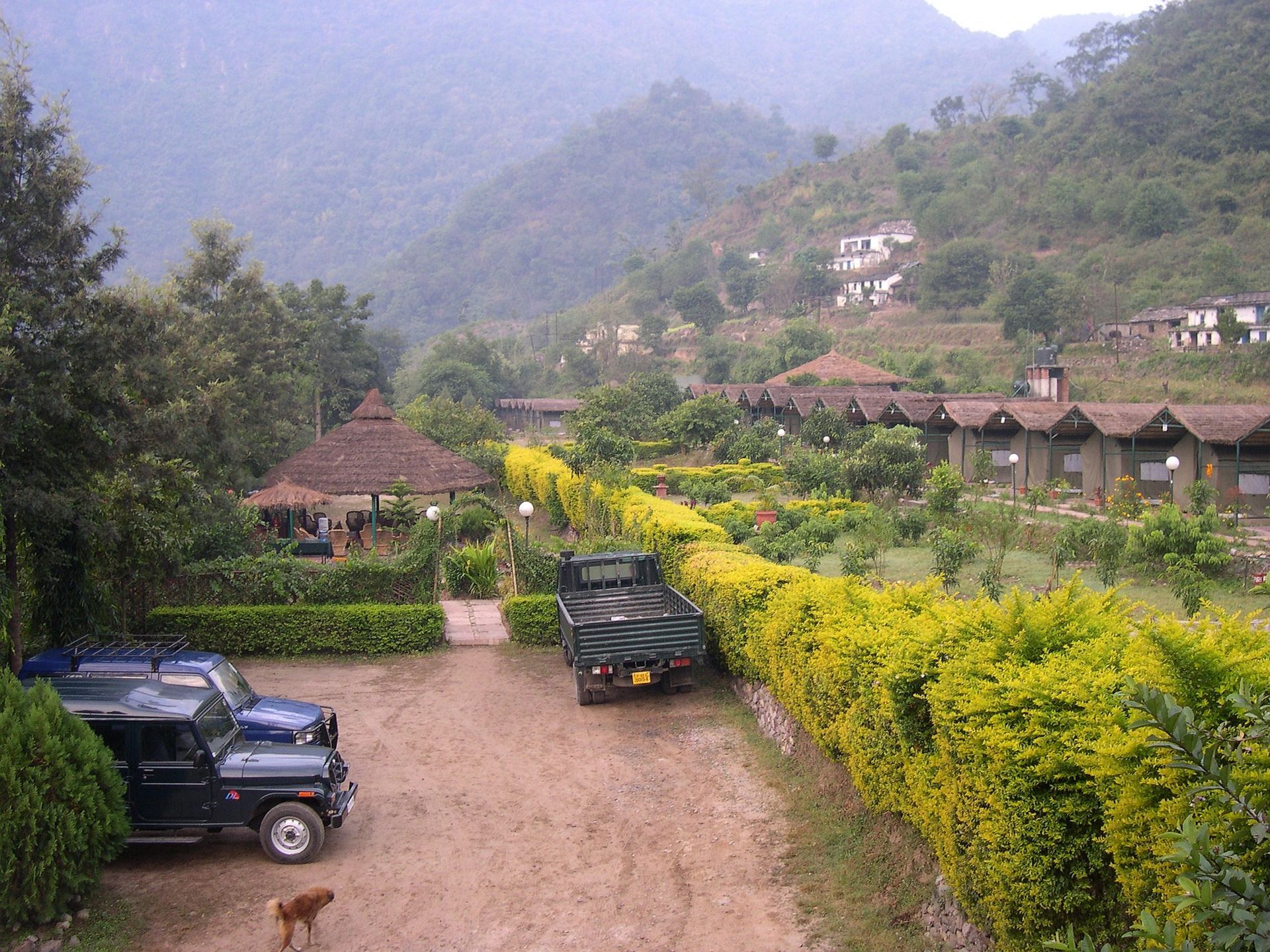 A resort with small cabins and a parking area at the base of a forested mountain, with a dog visible near parked cars.