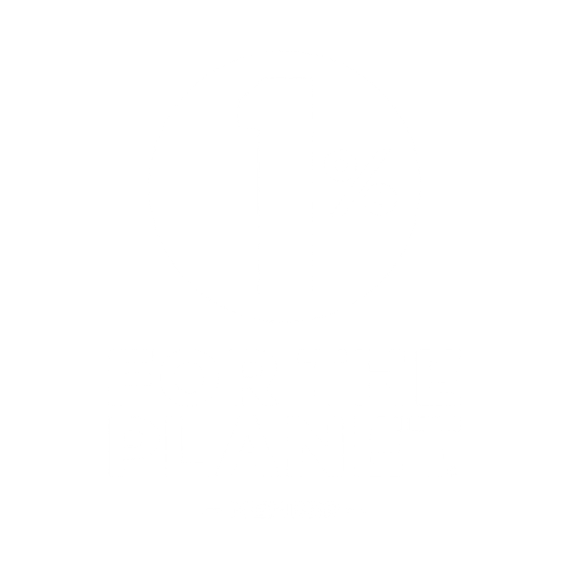 A green, leaf-shaped dish holding a small, brown, circular object with a textured surface.