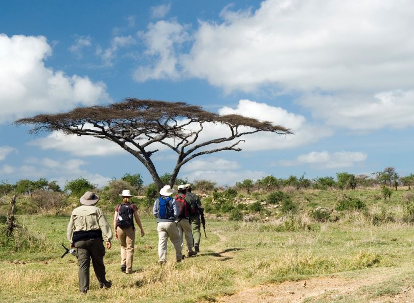 Four hikers walk along a dirt path through a grassy African savanna toward a large, flat-topped acacia tree under a blue sky.