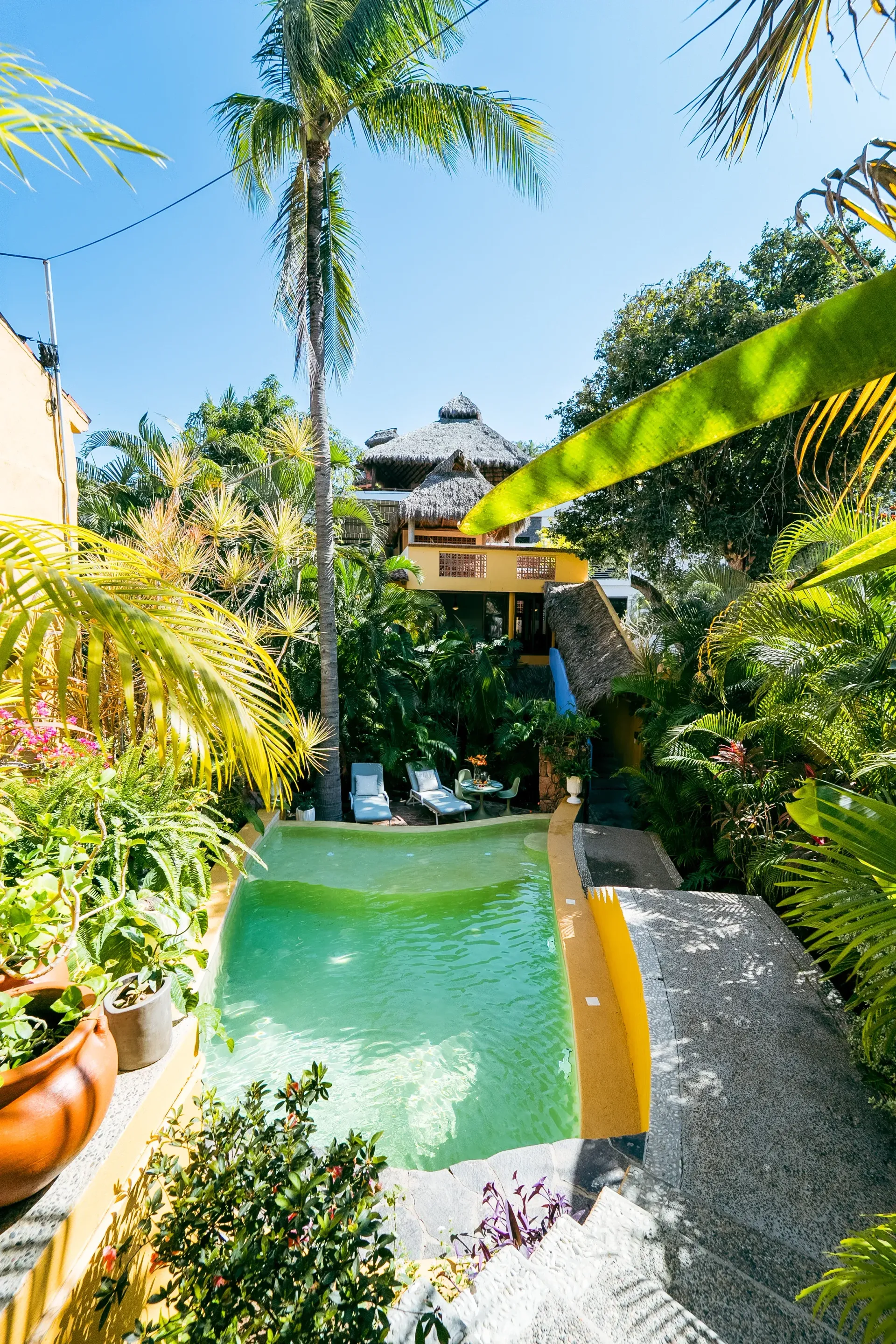 Swimming pool surrounded by lush greenery and a multi-level building under a clear blue sky.