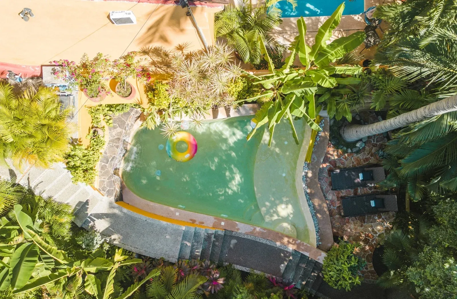 Aerial view of a swimming pool with a colorful floatie surrounded by lush green foliage and stone steps.