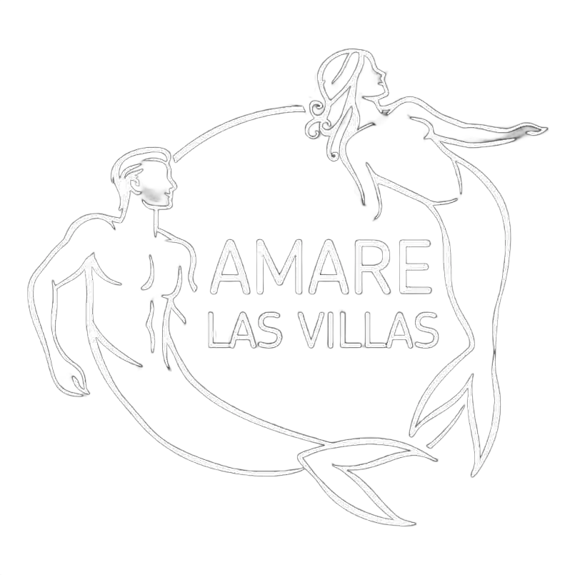 Fondo blanco vacío.