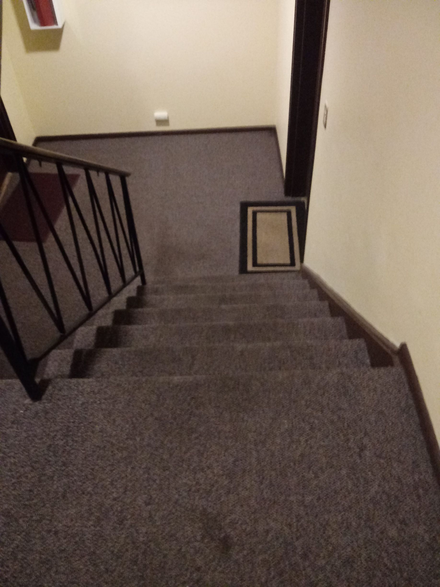 Carpeted indoor stairway with black railing and a framed picture on the wall at the landing