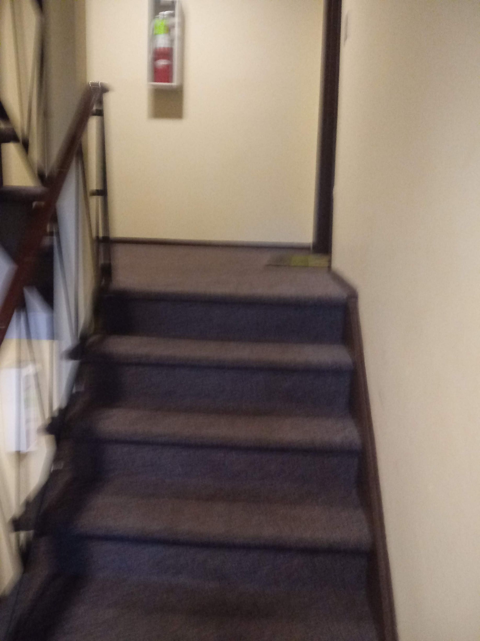 Narrow indoor staircase with dark carpeted steps and beige walls leading to a landing