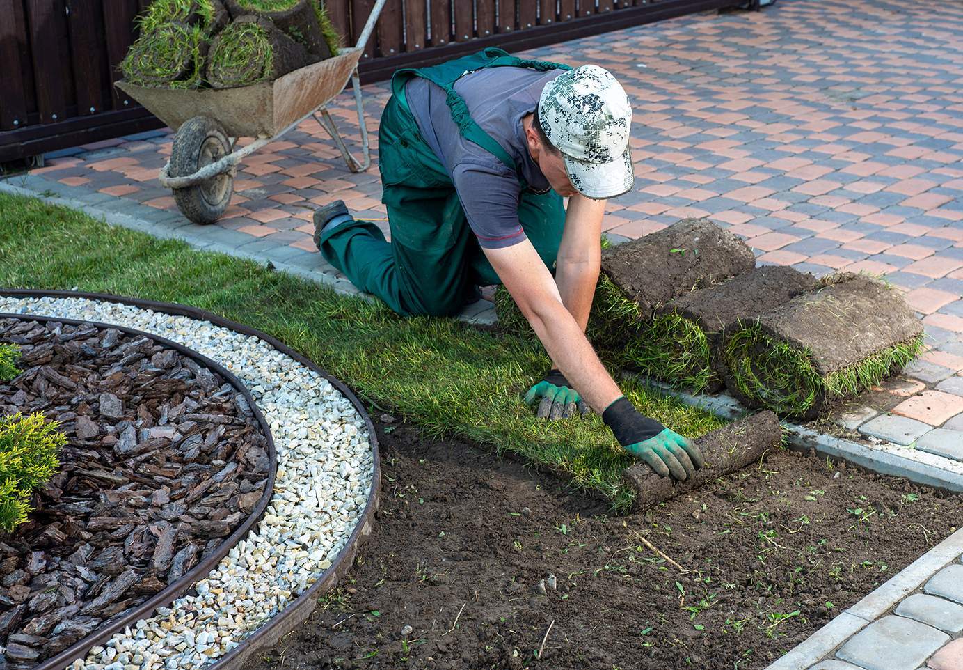 gardener applying turf rolls backyard
