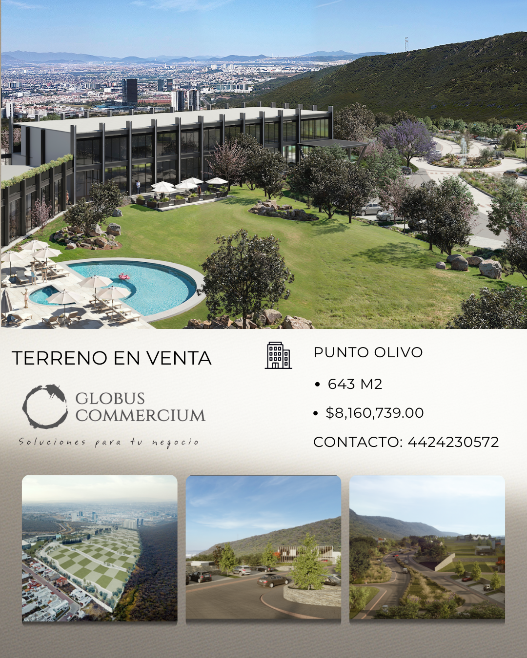 TERRENO EN VENTA PUNTO OLIVO 643 MT2
