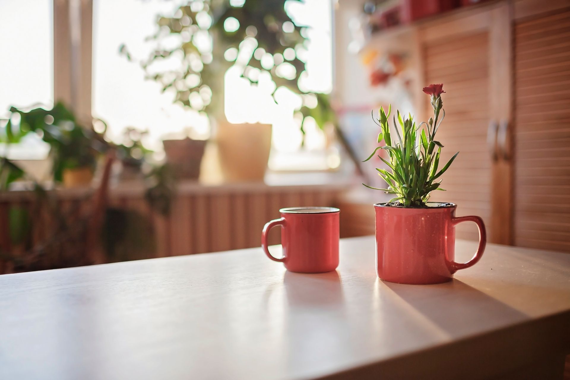 Two cups of coffee and a potted plant on a table.