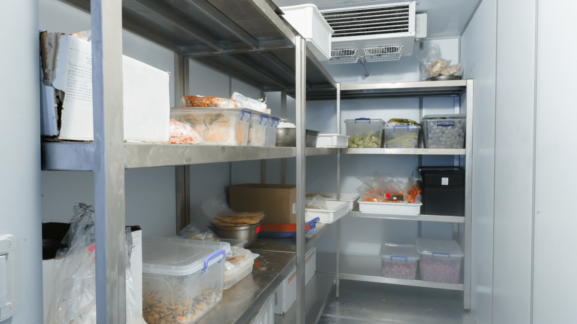 Walk-in cooler with stainless steel shelves holding various food containers — Allchin Airconditioning & Refrigeration Electrical in Caloundra, QLD