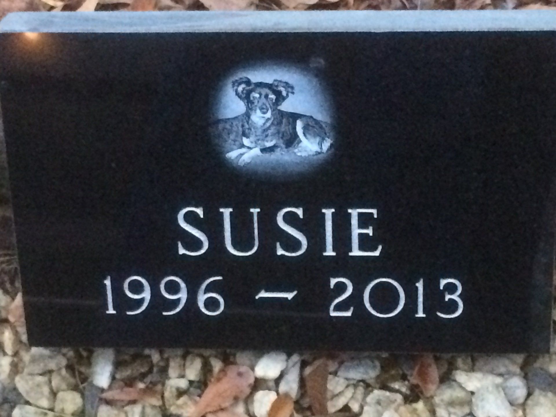 Pet Susie's Grave — Columbus, GA — Columbus Monument Company