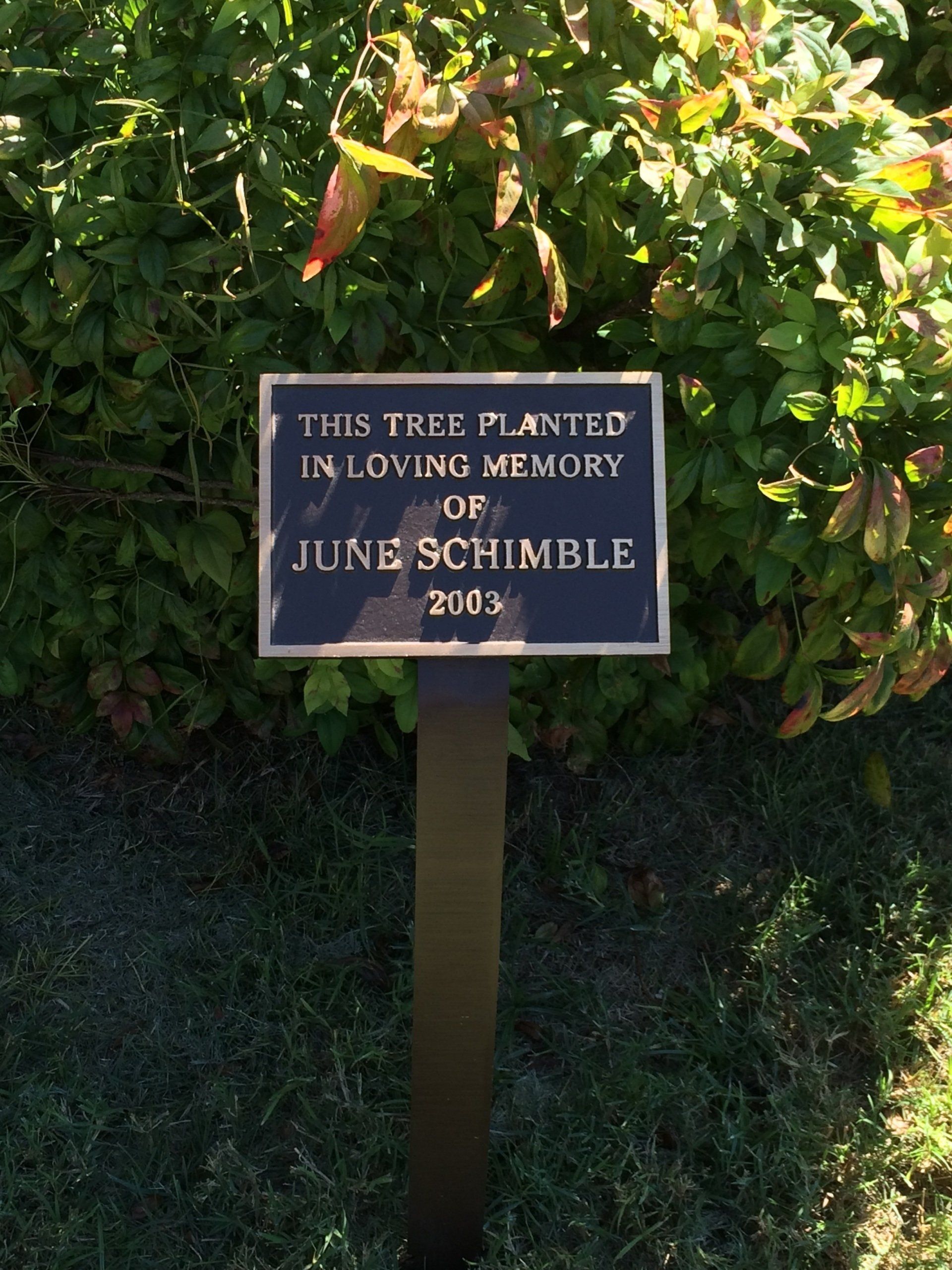Tree Planted Plaque — Columbus, GA — Columbus Monument Company