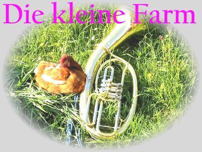 ein huhn sitzt neben einer trompete im gras .
