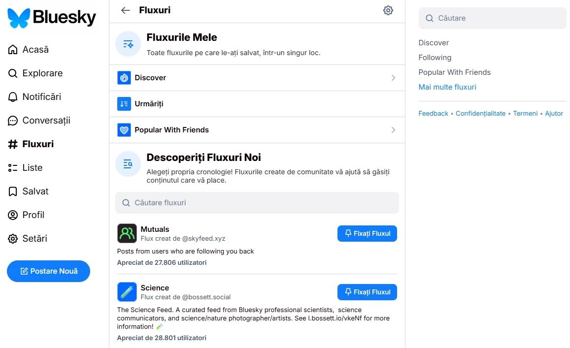 Fluxul Personalizat Bluesky Feed