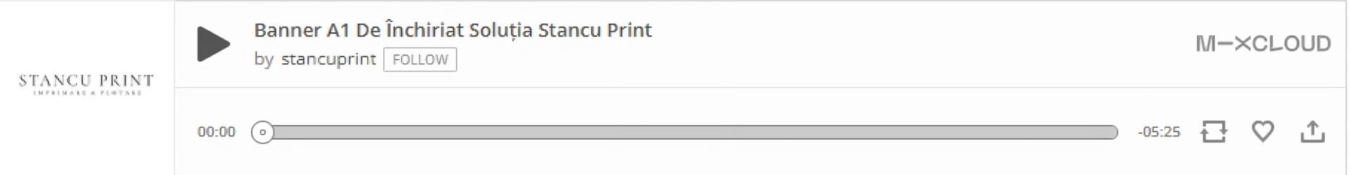 Stancu Print lansează Rezumate Audio globale. Ascultă descrierile!