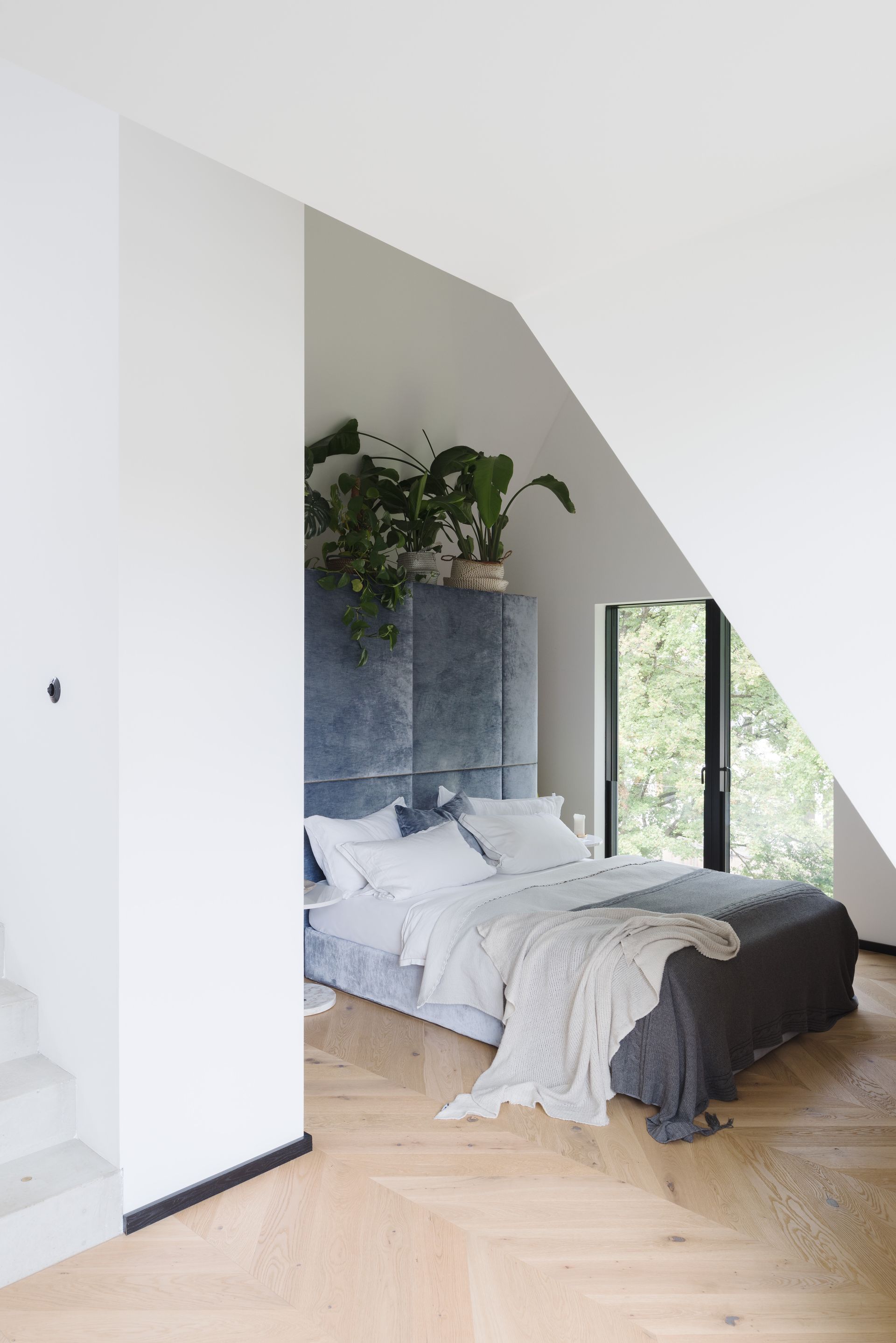 Bedroom with a velvet headboard, bed, wooden floor, and a tall plant.