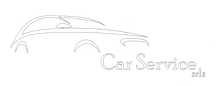 Car Service logo web negativo