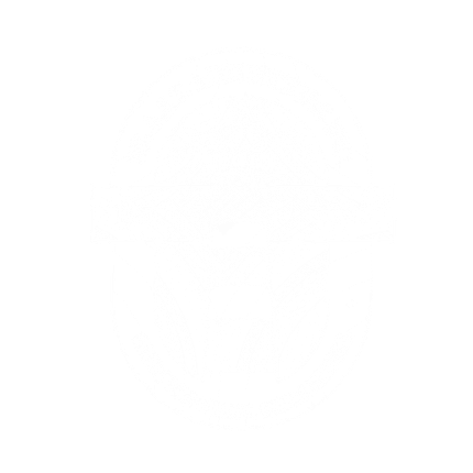 A white background with a few lines on it