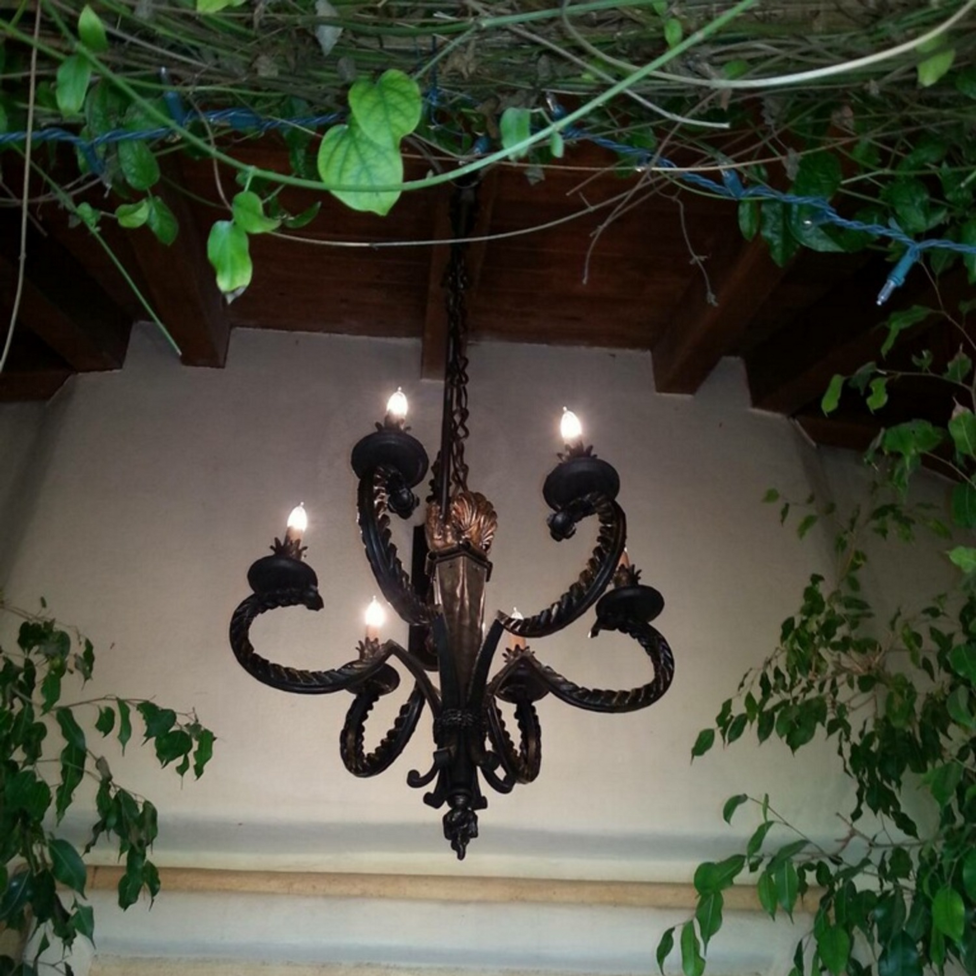 Michael Lawrence Electric Inc
- A chandelier is hanging from the ceiling with plants growing around it
