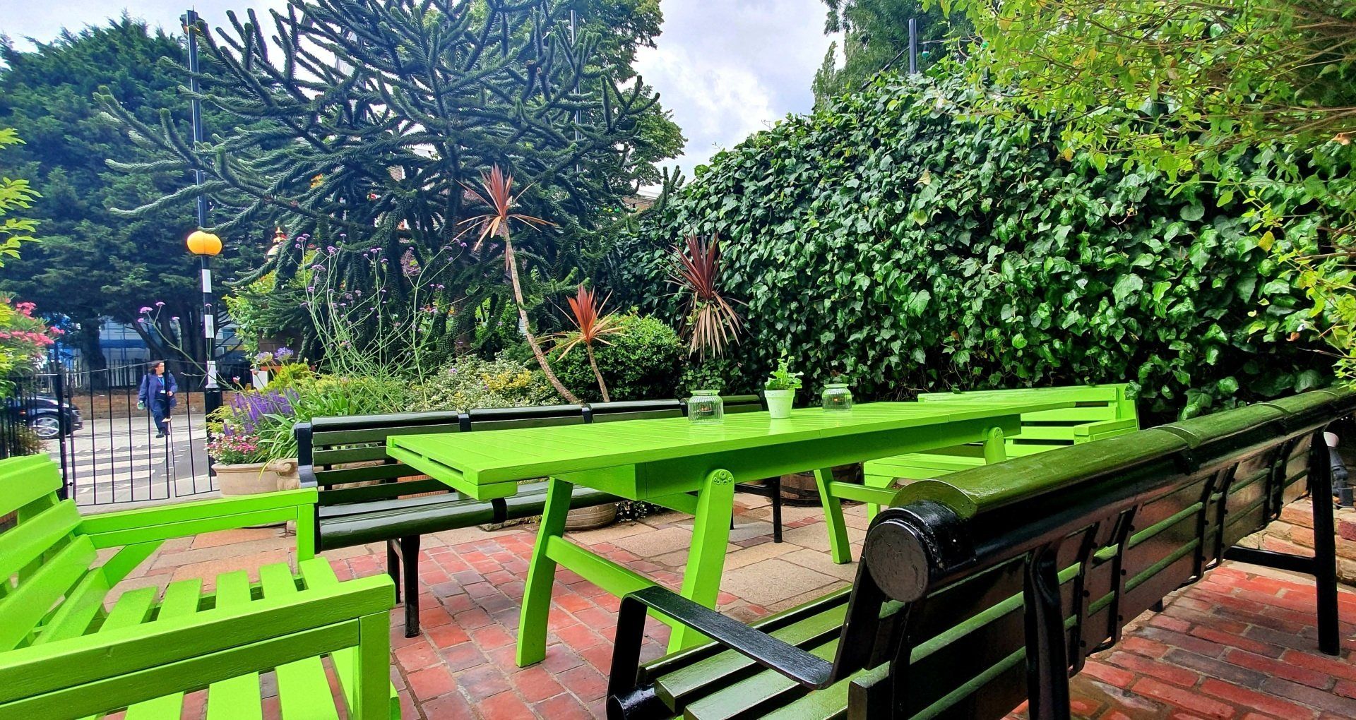 Photos from the Monkey puzzle pub