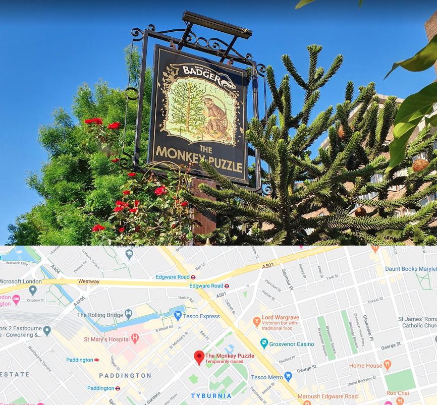Finding the Monkey Puzzle pub