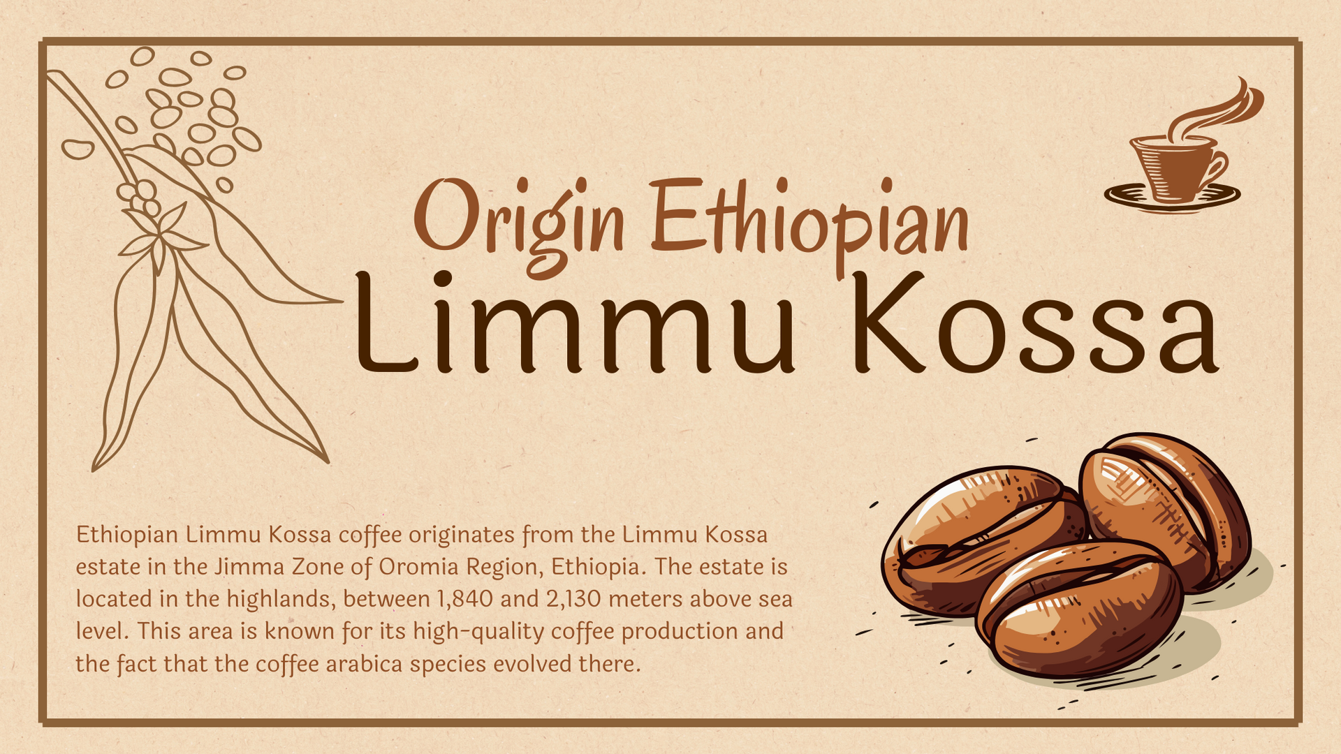Origin Ethiopian Limmu Kossa