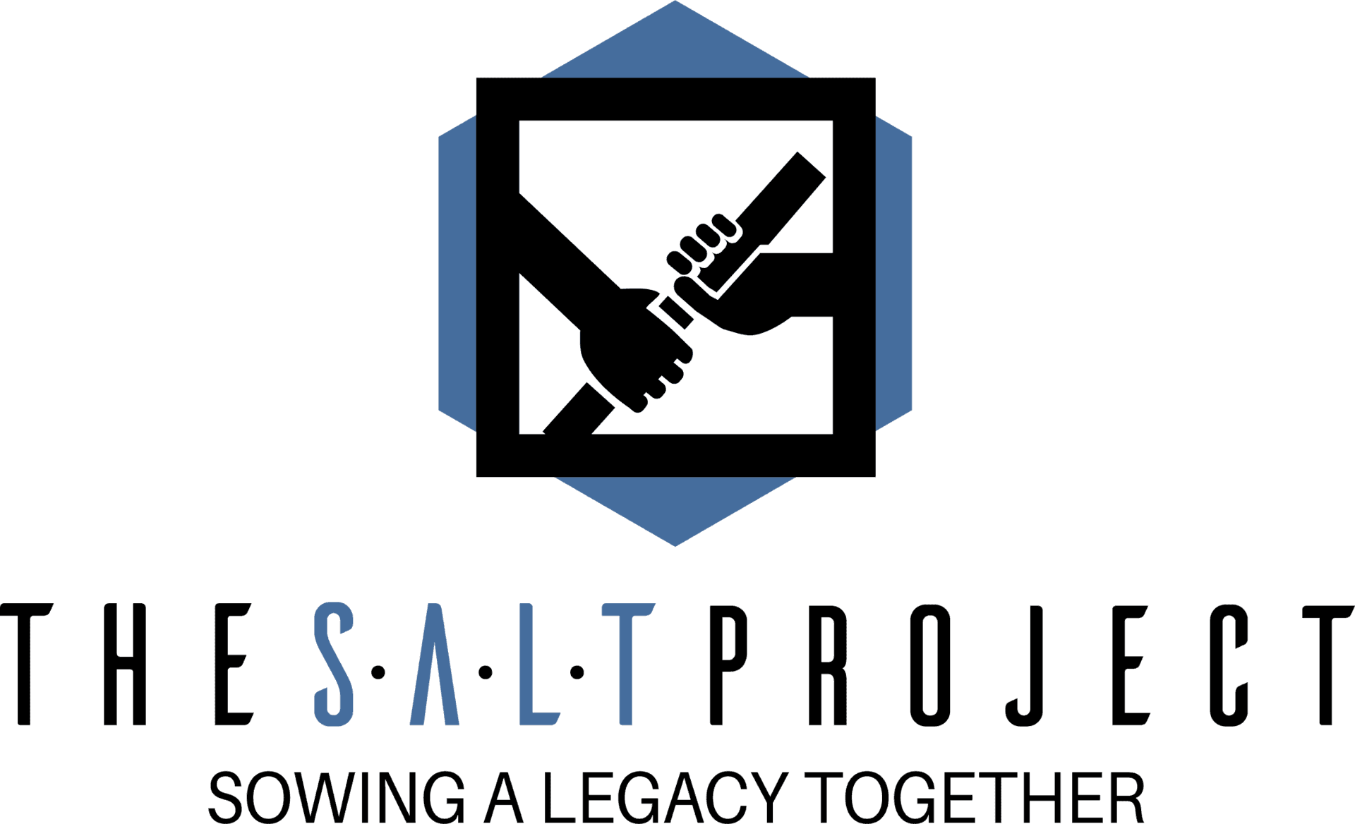 The SALT Project logo