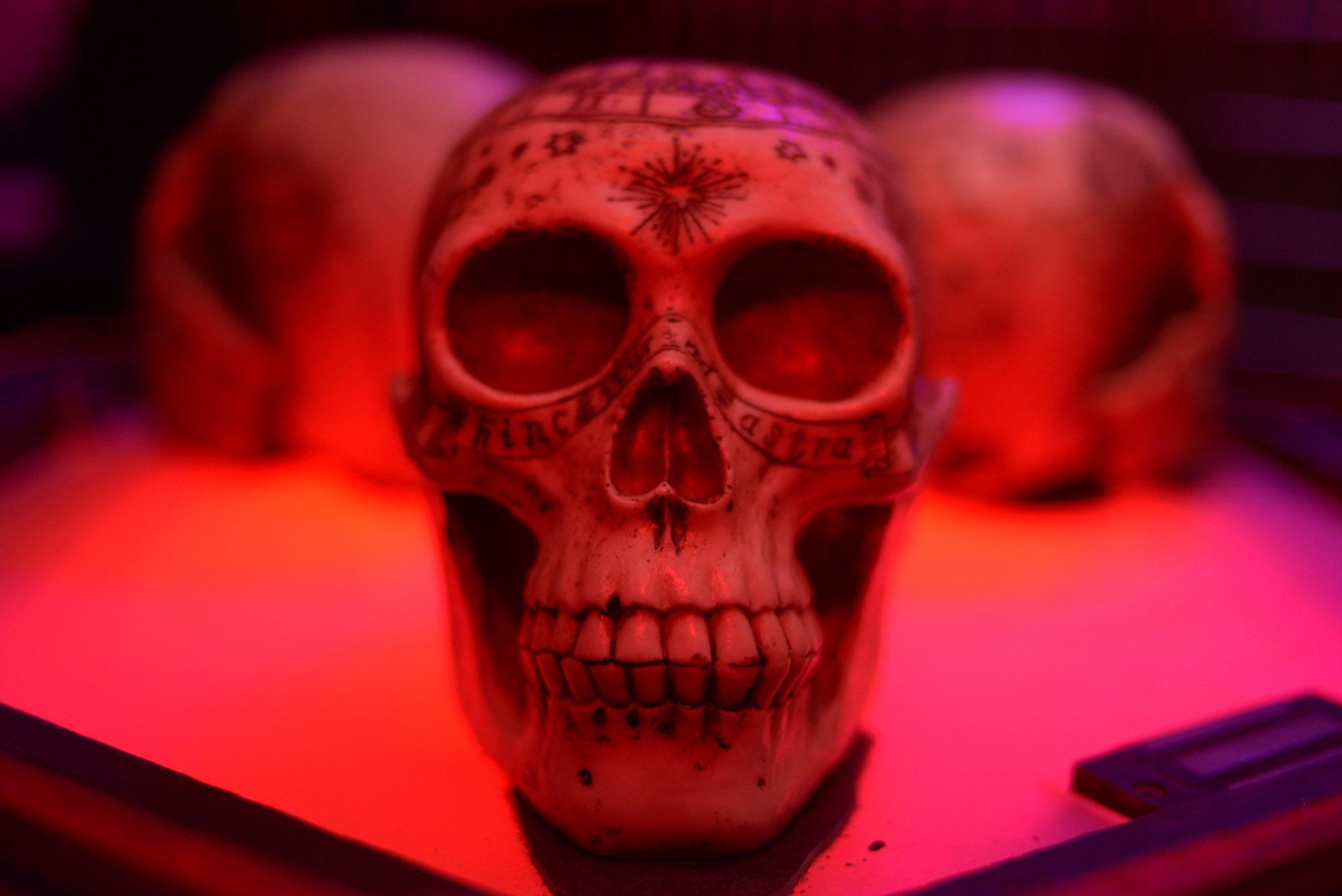 horror escape room philly skull's puzzle brain quest
