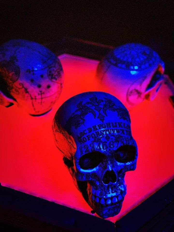 horror escape room skulls circular puzzle