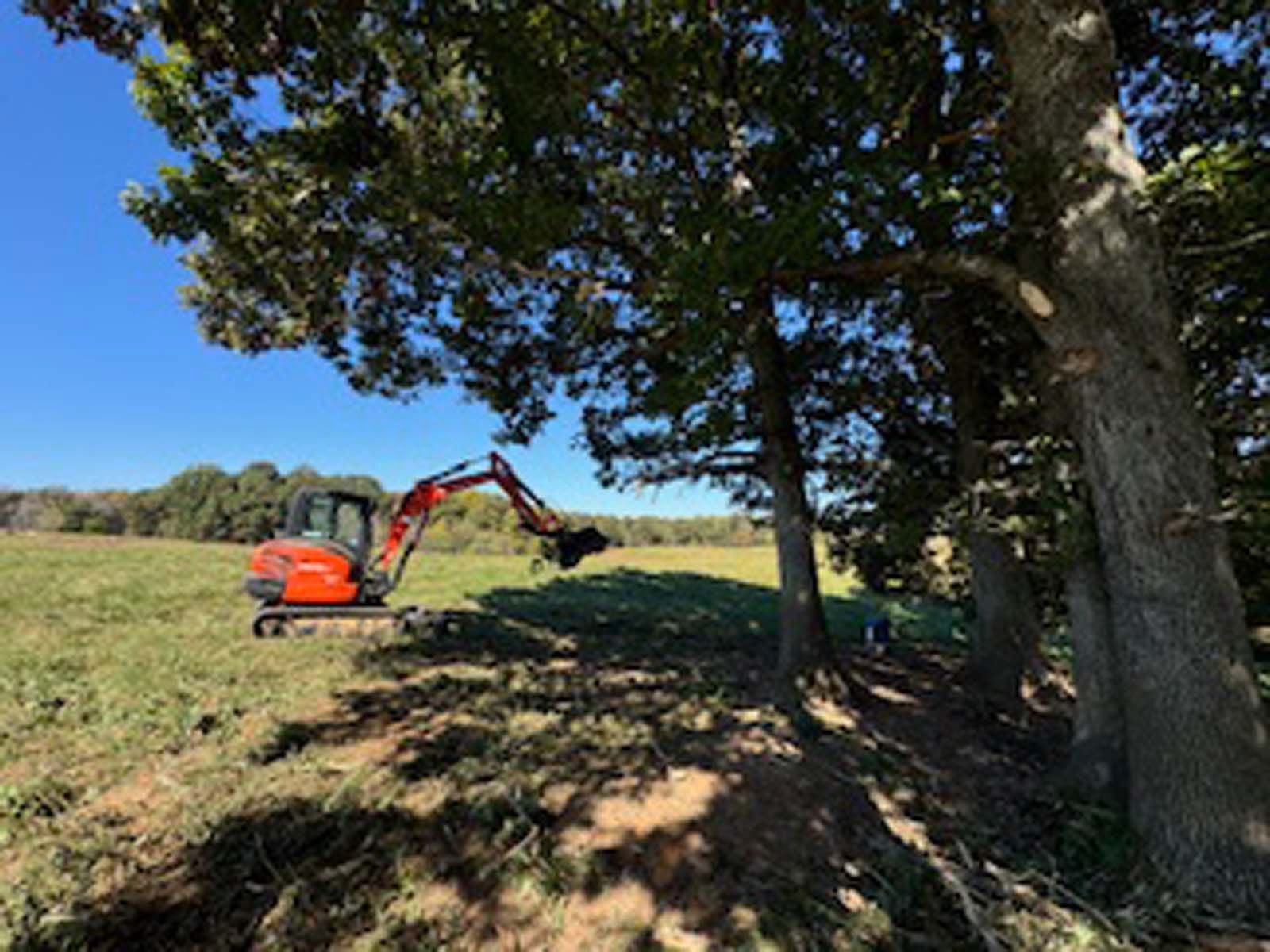 A small excavator is digging in a field next to trees.